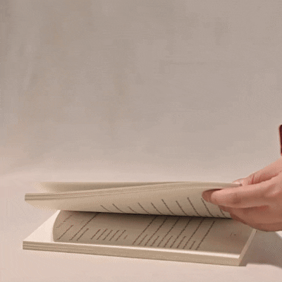 Preview /6939725c09b0460009e73480/2025/12/10/product-img-69399644771fa328e863aa77.gif